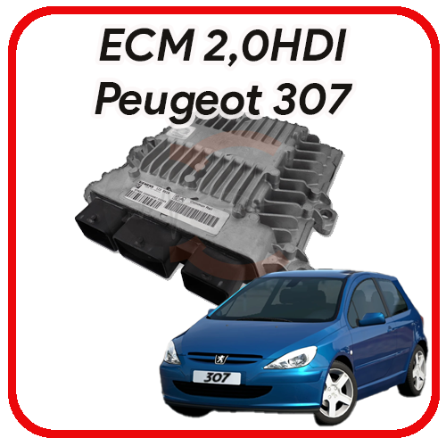 Centr. Mot. Peugeot 307 2.0 HDI siemens sid 801A